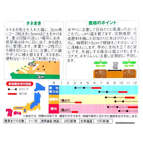 【サカタのタネ】ストック　切り花用 早生系 混合（0.2ml）【定形郵便・定形外郵便...