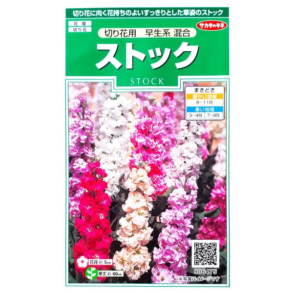 【サカタのタネ】ストック　切り花用　早生系　混合（0.2ml）【定形郵便・定形外郵便での発送のみ送料無料】花壇/切り花/切り花用/花種/種子/植物/栽培/ガーデニング/アラセイトウ/アブラナ科/半耐寒性1年草/春まき/夏まき/秋まき/粒数目安：40粒/906475