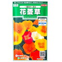 【サカタのタネ】花菱草 一重咲き 混合(0.5ml)【定形郵便・定形外郵便での発送のみ送料無料】花壇/コンテナ/プランター/花種/種子/植物/栽培/ガーデニング/自宅で/耐寒性1年草/ハナビシソウ/春まき/秋まき/粒数目安:135粒/906640