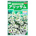 アリッサム　スノークリスタル（0.05ml）花壇/コンテナ/プランター/花種/種子/植物/栽培/ガーデニング/自宅で/ニワナズナ/アブラナ科/耐寒性1年草/春まき/秋まき/粒数目安：45粒/906078