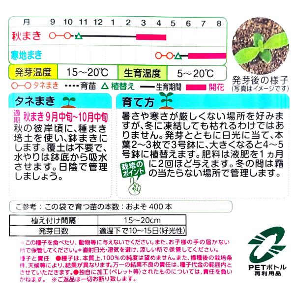 �ڥ��������ġۥ�ӥ󥰥��ȥ󡡥ǡ�������0.3ml�ˡ����͹�ء������͹�ؤǤ�ȯ���Τ�����̵���ۥ������μ�/����/ȭ��/����ƥ�/�ץ�󥿡�/�ּ�/���/��ʪ/����/�����ǥ˥�/�����/�ĥ�ʲ�/�դޤ�/���ޤ�/�����ܿ������褽400��/FZZ740