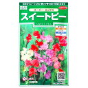 【特価品:有効期限2025年5月末日】【サカタのタネ】スイートピー スーパー ミックス(2ml)【定形郵便・定形外郵便での発送のみ送料無料】花壇/切り花/花種/種子/植物/栽培/ガーデニング/自宅で/ジャコウレンリソウ/耐寒性1年草/春まき/秋まき/粒数目安:12粒