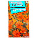 【タキイ種苗】コスモス オレンジ フレア(4ml)【定形郵便・定形外郵便での発送のみ送料無料】タキイの種/花壇/プランター/切り花/花種/種子/植物/栽培/ガーデニング/自宅で/キバナコスモス/キク科/春まき/夏まき/採苗本数:およそ40本/FCS311