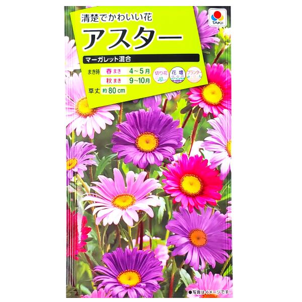 【タキイ種苗】アスター　マーガレット混合（1ml）【定形郵便・定形外郵便での発送のみ送料無料】タキイの種/切り花/花壇/プランター/花種/種子/植物/栽培/ガーデニング/自宅で/エゾギク/キク科/春まき/秋まき/採苗本数：およそ140本/FAS610