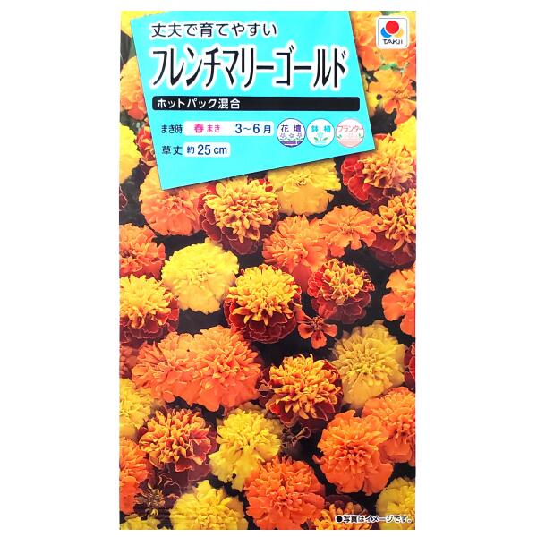 【タキイ種苗】フレンチマリーゴールド　ホットパック
