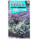 【タキイ種苗】わすれな草 アルペストリス混合(0.8ml)【定形郵便・定形外郵便での発送のみ送料無料】タキイの種/花壇/鉢植/プランター/コンテナ/花種/種子/植物/栽培/ガーデニング/自宅で/ワスレナグサ/春まき/秋まき/採苗本数:およそ350本/FWS110
