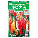 【サカタのタネ】ルピナス ラッセル ミナレット ミックス（1ml）【定形郵便 定形外郵便での発送のみ送料無料】花壇/コンテナ/プランター/切り花/花種/種子/植物/栽培/ガーデニング/ノボリフジ/耐寒性1〜2年草/春まき/夏まき/採苗本数：およそ10本/906885