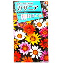 ガザニア　サンシャイン混合（0.2ml）タキイの種/花壇/鉢植/プランター/コンテナ/花種/種子/植物/栽培/ガーデニング/自宅で/クンショウギク/キク科/春まき/秋まき/採苗本数：およそ10本/FGZ130