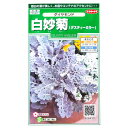 【サカタのタネ】白妙菊（ダスティーミラー） ダイヤモンド（0.3ml）【定形郵便 定形外郵便での発送のみ送料無料】花壇/コンテナ/プランター/花種/種子/植物/栽培/ガーデニング/シロタエギク/キク科/耐寒性1〜2年草/秋まき/春まき/採苗本数：およそ150本/906430