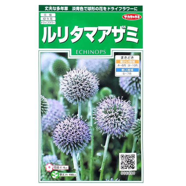【サカタのタネ】ルリタマアザミ（1.5ml）【定形郵便・定形外郵便での発送のみ送料...