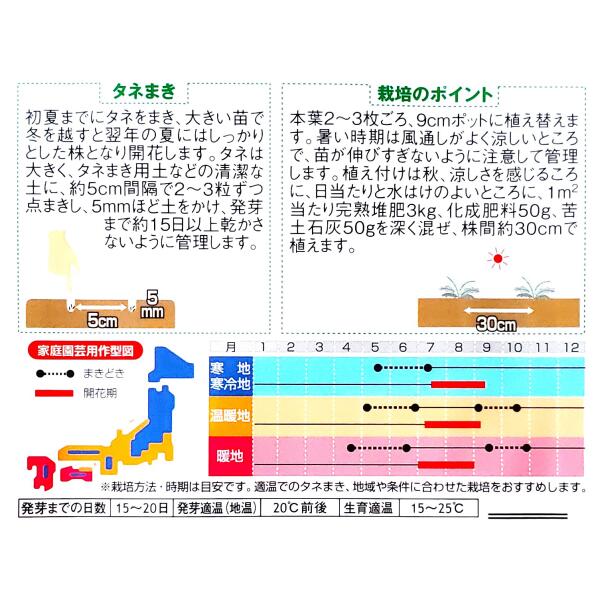 【サカタのタネ】ルリタマアザミ（1.5ml）【定形郵便・定形外郵便での発送のみ送料...