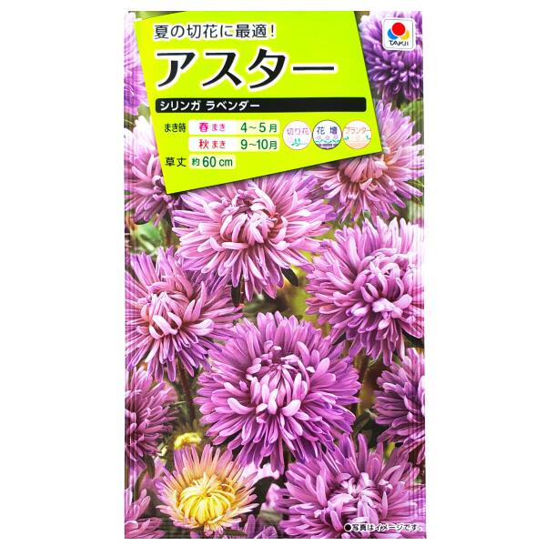 【タキイ種苗】アスター　シリンガ　ラベンダー（1ml）【定形郵便・定形外郵便での発送のみ送料無料】タキイの種/切り花/花壇/プランター/花種/種子/植物/栽培/ガーデニング/自宅で/エゾギク/キク科/春まき/秋まき/採苗本数：およそ70本/FAS863