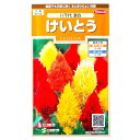 けいとう　八千代　混合（0.2ml）花壇/切り花/ヤチヨケイトウ/花種/種子/植物/栽培/ガーデニング/自宅で/春まき1年草/春まき/粒数目安：190粒/907170