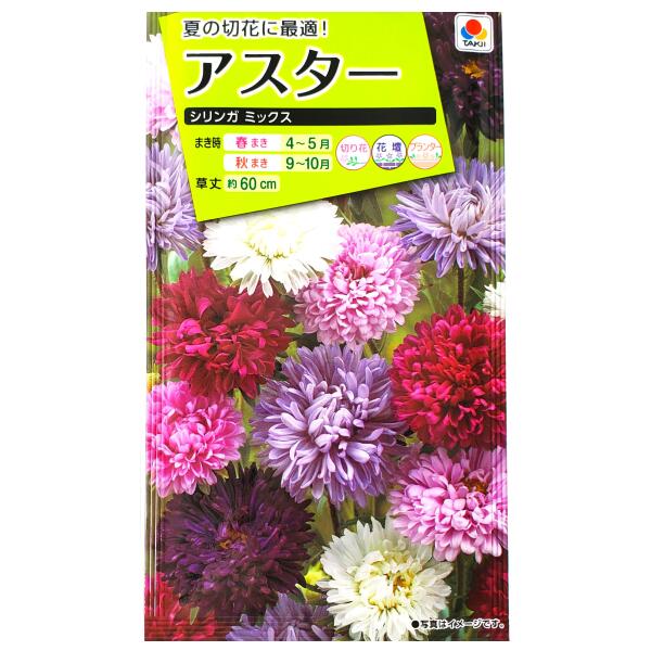 アスター　シリンガ　ミックス（1ml）タキイの種/切り花/花壇/プランター/花種/種子/植物/栽培/ガーデニング/自宅で/エゾギク/キク科/春まき/秋まき/採苗本数：およそ70本/FAS864