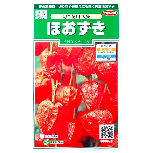 【サカタのタネ】ほおずき　切り花