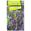 【タキイ種苗】レースラベンダー オリガノ（30粒）【定形郵便 定形外郵便での発送のみ送料無料】タキイの種/花壇/鉢植/プランター/花種/種子/植物/栽培/ガーデニング/自宅で/シソ科/春まき/秋まき/宿根草/採苗本数：およそ20本/FSZB35