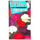 【タキイ種苗】カーネーション シャボー混合(0.4ml)【定形郵便・定形外郵便での発送のみ送料無料】タキイの種/花壇/プランター/切り花/花種/種子/ガーデニン...