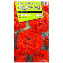 【タキイ種苗】アフリカンマリーゴールド　キースオレンジ（30粒）【定形郵便・定形外郵便での発送のみ送料無料】タキイの種/花壇/切り花/切り花用/花種/種子/植物/栽培/ガーデニング/自宅で/マンジュギク/キク科/春まき/夏まき/採苗本数：およそ20本/FMNA04