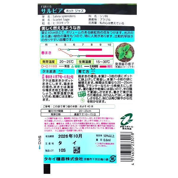 【タキイ種苗】サルビア　ホット ジャズ（0.6ml）【定形郵便・定形外郵便での発送...