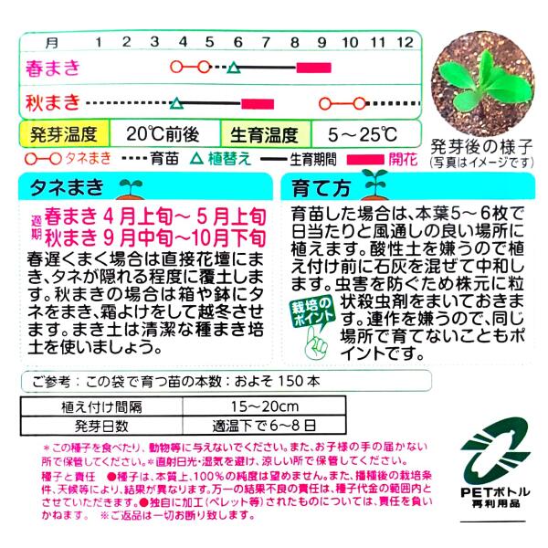 【タキイ種苗】アスター　八重咲混合（1.2ml）【定形郵便・定形外郵便での発送のみ...