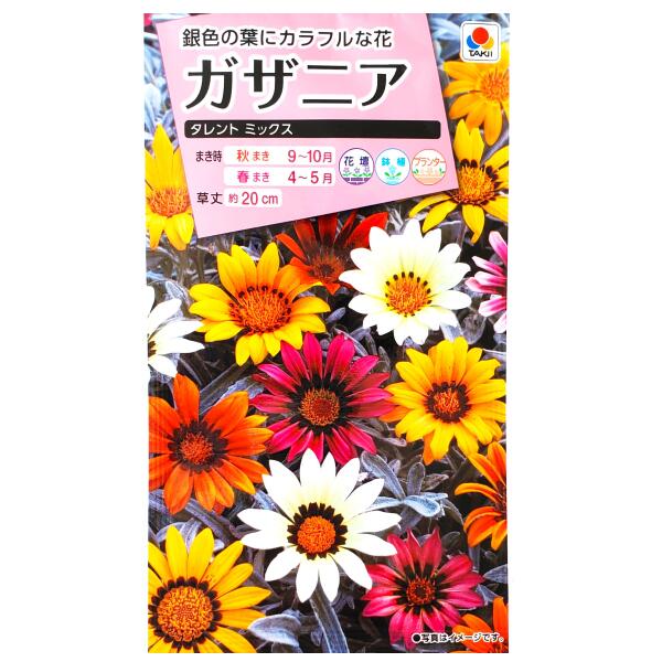 【タキイ種苗】ガザニア　タレント ミックス（0.2ml）【定形郵便・定形外郵便での発送のみ送料無料】タ..