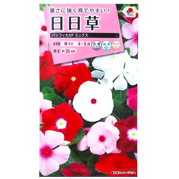 【タキイ種苗】日日草　パシフィカXP ミックス（60粒