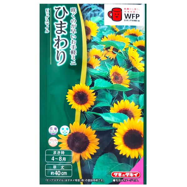 楽天市場】早咲きひまわりの通販