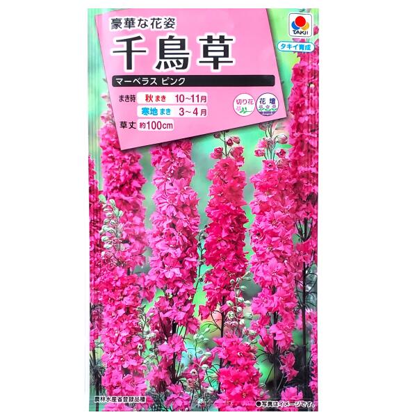 商品情報商品名千鳥草　マーベラス ピンク【学名：Delphinium consolida】【英名：Branching Larkspur】【和名：ルリヒエンソウ、チドリソウ】科名キンポウゲ科花言葉変わりやすい、変化原産地ヨーロッパ生産地オランダ特長《豪華な花姿》豪華なピンク色の八重咲き大輪種です。従来の品種に比べ、穂のつまりがよく、ボリュームのある花姿が楽しめます。開花揃いもよく、うどんこ病にも強い品種です。まきどき●秋まき：10月〜11月●寒地まき：3月〜4月草丈約100cm数量1袋：0.5ml農林水産省登録品種＜ご参考＞この袋で育つ苗の本数・・・およそ25本※あくまでも目安でございます。発芽率60％以上植え付け間隔15cm〜20cm発芽日数適温下で10日～15日（嫌光性）発芽温度15℃前後生育温度5℃〜25℃有効期限2027年4月配送方法※重要※必ずご確認下さいこちらの商品は、宅配便の他【定形郵便・定形外郵便】での発送が可能でございます。定形郵便・定形外郵便のみのお買い上げの場合は、＜全国一律送料無料＞でございます。下記の場合は、送料がかかります。定形郵便・定形外郵便＋通常商品＝送料が発生します。定形郵便・定形外郵便＋送料無料の通常商品＝送料無料となります。※定形郵便・定形外郵便（送料無料）＋通常商品（送料別）を同時購入の場合、楽天市場のシステム上、商品ページや注文確定時に0円と表示されますが、ご注文受付の際に送料を加算させてご連絡致しますので、必ずご確認下さい。 同梱にて宅配便（有料）にて発送させて頂きます。●配送方法を選択する場合は、【メール便】をお選び下さい。●定形郵便・定形外郵便はポスト投函でございます。【日時指定不可】【追跡番号なし】地域によりますが、到着までに約2日から1週間ほどかかります。商品のお届け保障、受取確認、汚損、封筒の破損等の保障はできかねます。予めご了承の上、ご購入をお願い致します。注意事項●種子は、本質上、100％の純度は望めません。また、播種後の栽培条件・天候等により、その結果が異なります。●この種子を食べたり、動物等に与えないでください。●お子様の手の届かない所で保管して下さい。●直射日光・湿気を避け、涼しい所で保管してください。●ご注文の際は、まきどきを必ずご確認下さい。【タキイ種苗】千鳥草　マーベラス ピンク（0.5ml）【定形郵便・定形外郵便での発送のみ送料無料】タキイの種/切り花/花壇/花種/種子/ガーデニング/ルリヒエンソウ/チドリソウ/キンポウゲ科/春まき/秋まき/採苗本数：およそ25本/FTD244 豪華な花姿★ 1