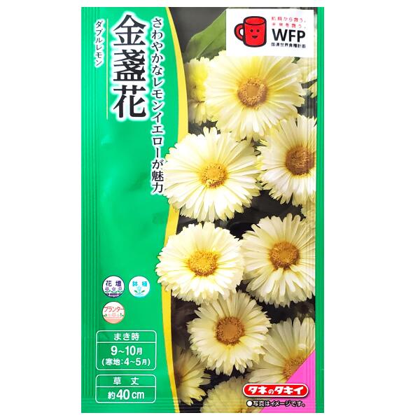 商品情報商品名金盞花　ダブルレモン【学名：Calendula officinalis】【英名：Pot Marigold】【和名：キンセンカ】科名キク科花言葉離別を悲しむ原産地南ヨーロッパ生産地オランダ特長《さわやかなレモンイエローが魅力》花はさわやかなレモンイエローで、花の重ねは一重から半八重になる矮性の品種です。1株でたくさんの花が楽しめます。まきどき●秋まき：9月〜10月●寒地まき：4月〜5月草丈約40cm数量1袋：3ml＜ご参考＞この袋で育つ苗の本数・・・およそ20本※あくまでも目安でございます。発芽率60％以上植え付け間隔20cm〜30cm発芽日数適温下で8日〜10日発芽温度20℃前後生育温度5℃〜25℃有効期限2027年8月配送方法※重要※必ずご確認下さいこちらの商品は、宅配便の他【定形郵便・定形外郵便】での発送が可能でございます。定形郵便・定形外郵便のみのお買い上げの場合は、＜全国一律送料無料＞でございます。下記の場合は、送料がかかります。定形郵便・定形外郵便＋通常商品＝送料が発生します。定形郵便・定形外郵便＋送料無料の通常商品＝送料無料となります。※定形郵便・定形外郵便（送料無料）＋通常商品（送料別）を同時購入の場合、楽天市場のシステム上、商品ページや注文確定時に0円と表示されますが、ご注文受付の際に送料を加算させてご連絡致しますので、必ずご確認下さい。 同梱にて宅配便（有料）にて発送させて頂きます。●配送方法を選択する場合は、【メール便】をお選び下さい。●定形郵便・定形外郵便はポスト投函でございます。【日時指定不可】【追跡番号なし】地域によりますが、到着までに約2日から1週間ほどかかります。商品のお届け保障、受取確認、汚損、封筒の破損等の保障はできかねます。予めご了承の上、ご購入をお願い致します。注意事項●種子は、本質上、100％の純度は望めません。また、播種後の栽培条件・天候等により、その結果が異なります。●この種子を食べたり、動物等に与えないでください。●お子様の手の届かない所で保管して下さい。●直射日光・湿気を避け、涼しい所で保管してください。●ご注文の際は、まきどきを必ずご確認下さい。【タキイ種苗】金盞花　ダブルレモン（3ml）【定形郵便・定形外郵便での発送のみ送料無料】タキイの種/花壇/コンテナ/プランター/鉢植/花種/種子/植物/栽培/ガーデニング/キンセンカ/キク科/春まき/秋まき/寒地まき/採苗本数：およそ20本/FKNA58 さわやかなレモンイエローが魅力☆ 1