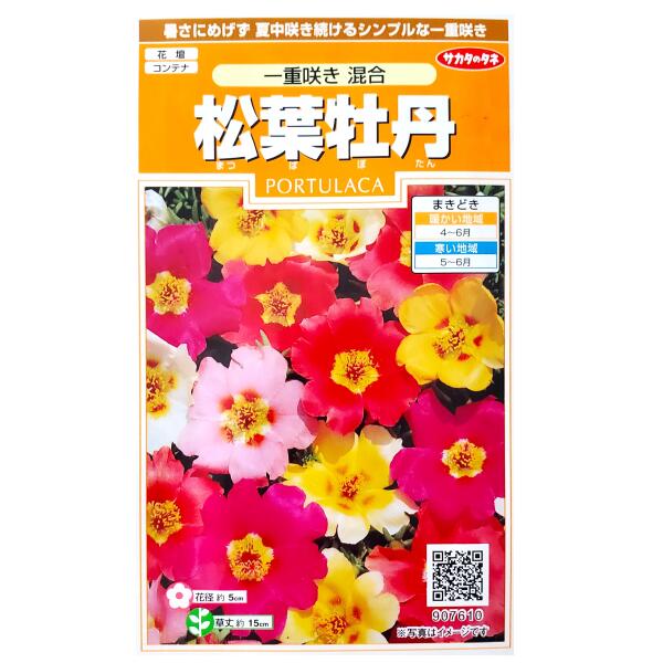 【サカタのタネ】松葉牡丹　一重咲き 混合（0.1ml）【定形郵便・定形外郵便での発送のみ送料無料】花壇/コンテナ/プランター/マツバボタン/花種/種子/植物/栽培/ガーデニング/自宅で/春まき1年草/混合種/粒数目安：215粒/907610