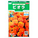【サカタのタネ】ビオラ ピエナ オレンジ(20粒)【定形郵便・定形外郵便での発送のみ送料無料】花壇/コンテナ/プランター/花種/種子/植物/栽培/ガーデニング/自宅で/スミレ科/耐寒性1年草/春まき/夏まき/秋まき/906720