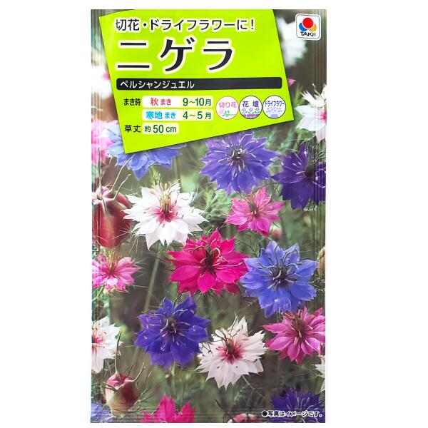 【タキイ種苗】ニゲラ　ペルシャンジュエル（1.5ml）【定形郵便・定形外郵便での発送のみ送料無料】タキイの種/切り花/花壇/ドライフラワー/花種/種子/植物/栽培/ガーデニング/クロタネソウ/キンポウゲ科/春まき/秋まき/寒地まき/採苗本数：およそ120本/FZZ770