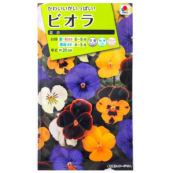楽天市場】ビオラ 這の通販