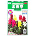 【サカタのタネ】金魚草 キャンディートップスミックス(30粒)【定形郵便・定形外郵便での発送のみ送料無料】花壇/コンテナ/プランター/花種/種子/花/植物/栽培/ガーデニング/自宅で/春まき/秋まき/耐寒性1年草/キンギョソウ/906252