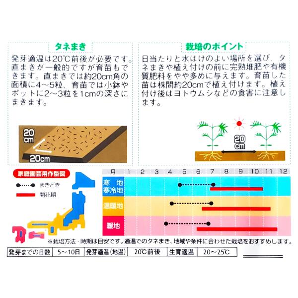 【サカタのタネ】コスモス　パレード ミックス（2ml）【定形郵便・定形外郵便での...