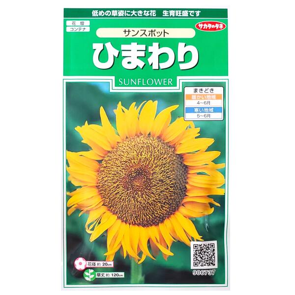 【サカタのタネ】ひまわり　サンスポット（2ml）【定形郵便・定形外郵便での発送のみ送料無料】花壇/コンテナ/プランター/ヒマワリ/キク科/花種/種子/植物/栽培/ガーデニング/自宅で/春まき1年草/春まき/夏/粒数目安：13粒/906737