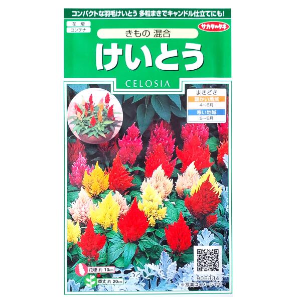 【サカタのタネ】けいとう きもの 混合（0.2ml）【定形郵便・定形外郵便での発送のみ送料無料】花壇/コンテナ/プランター/ウモウケイトウ/花種/種子/植物/栽培/ガーデニング/自宅で/春まき1年草/春まき/粒数目安：145粒/906334