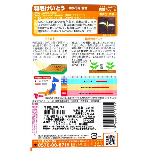 【サカタのタネ】羽毛けいとう　切り花用 混合（0.2ml）【定形郵便・定形外郵便で...