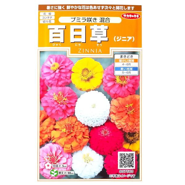 �ڥ������Υ��͡�ɴ����ʥ��˥��ˡ��ץߥ�餭 �����2ml�ˡ����͹�ء������͹�ؤǤ�ȯ���Τ�����̵���۲���/����ƥ�/�ץ�󥿡�/�ڤ��/�ּ�/���/��ʪ/����/�����ǥ˥�/�ҥ㥯�˥�����/������/�����/�դޤ�1ǯ��/γ���ܰ¡�40γ/907560