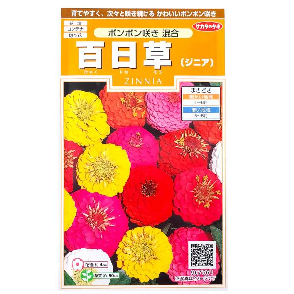 �ڥ������Υ��͡�ɴ����ʥ��˥��ˡ��ݥ�ݥ�餭 �����1ml�ˡ����͹�ء������͹�ؤǤ�ȯ���Τ�����̵���۲���/����ƥ�/�ץ�󥿡�/�ڤ��/�ּ�/���/��ʪ/����/�����ǥ˥�/�ҥ㥯�˥�����/������/�����/�դޤ�1ǯ��/γ���ܰ¡�29γ/907561