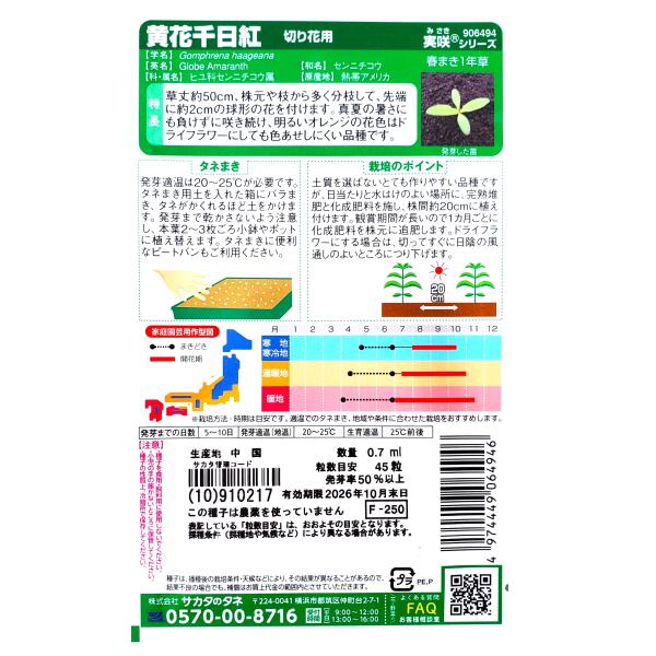 【サカタのタネ】黄花千日紅　切り花用（0.7ml）【定形郵便・定形外郵便での発送の...