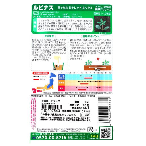 【サカタのタネ】ルピナス　ラッセル ミナレット ミ ックス（1ml）【定形郵便・定...