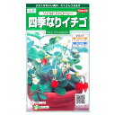 【サカタのタネ】四季なりイチゴ　ワイルドストロベリー（0.1ml）【定形郵便・定形外郵便での発送のみ送料無料】花壇/コンテナ/プランター/花種/種子/植物/栽培/ガーデニング/自宅で/多年草/春まき/秋まき/シキナリイチゴ/バラ科/粒数目安：145粒/906082