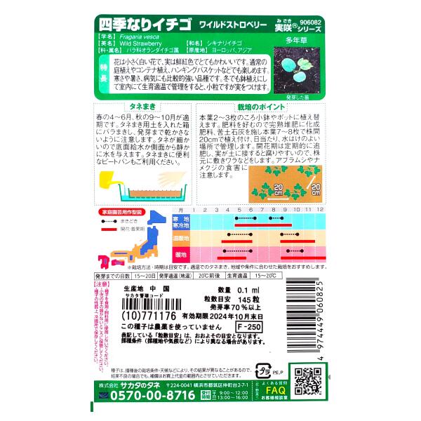 【サカタのタネ】四季なりイチゴ　ワイルドストロベリー（0.1ml）【定形郵便・定形外郵便での発送のみ送料無料】花壇/コンテナ/プランター/花種/種子/植物/栽培/ガーデニング/自宅で/多年草/春まき/秋まき/シキナリイチゴ/バラ科/粒数目安：145粒/906082 2