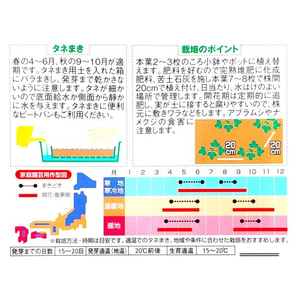 【サカタのタネ】四季なりイチゴ　ワイルドストロベリー（0.1ml）【定形郵便・定形外郵便での発送のみ送料無料】花壇/コンテナ/プランター/花種/種子/植物/栽培/ガーデニング/自宅で/多年草/春まき/秋まき/シキナリイチゴ/バラ科/粒数目安：145粒/906082 3