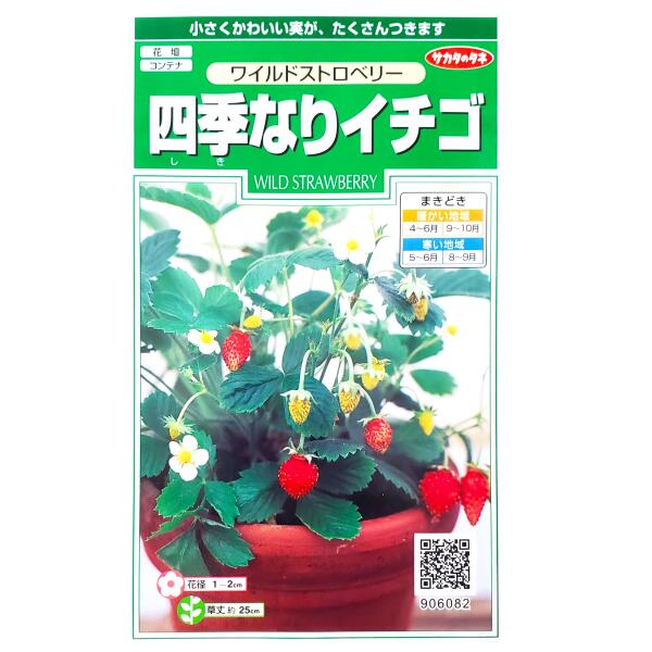 樂天商城 - 【サカタのタネ】四季なりイチゴ　ワイルドストロベリー（0.1ml）【定形郵便・定形外郵便での発送のみ送料無料】花壇/コンテナ/プランター/花種/種子/植物/栽培/ガーデニング/自宅で/多年草/春まき/秋まき/シキナリイチゴ/バラ科/粒数目安：145粒/906082