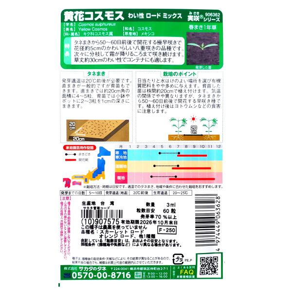 【サカタのタネ】黄花コスモス　わい性 ロード ミックス（3ml）【定形郵便・定形外...