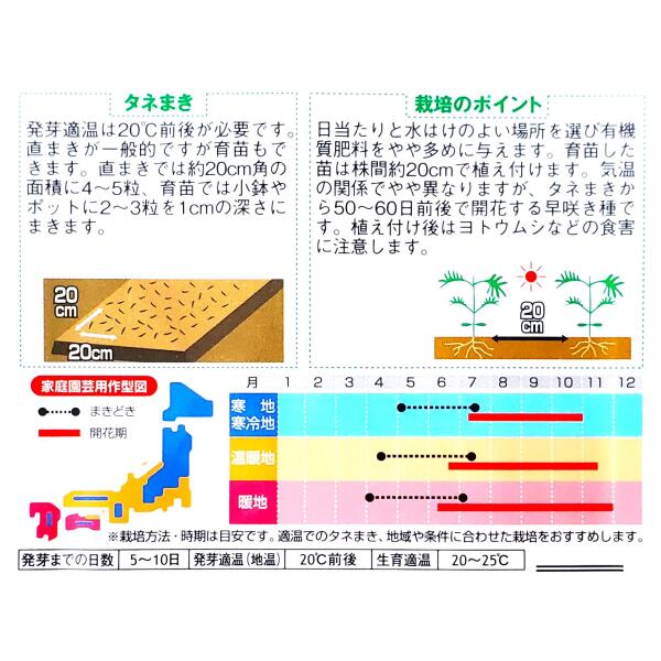 【サカタのタネ】黄花コスモス　わい性 ロード ミックス（3ml）【定形郵便・定形外...
