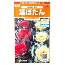 【サカタのタネ】葉ぼたん 丸葉系 混合(0.2ml)【定形郵便・定形外郵便での発送のみ送料無料】花壇/コンテナ/プランター/寄せ植え/花種/種子/植物/ガーデニング/自宅で/ハボタン/アブラナ科/耐寒性1~2年草/夏まき/混合種/粒数目安:30粒/907920