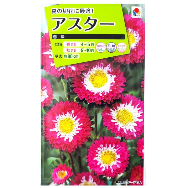 Aster - 【タキイ種苗】アスター　彗星（1ml）【定形郵便・定形外郵便での発送のみ送料無料】タキイの種/切り花/花壇/プランター/花種/種子/植物/栽培/ガーデニング/自宅で/エゾギク/キク科/春まき/秋まき/採苗本数：およそ90本/FAS161